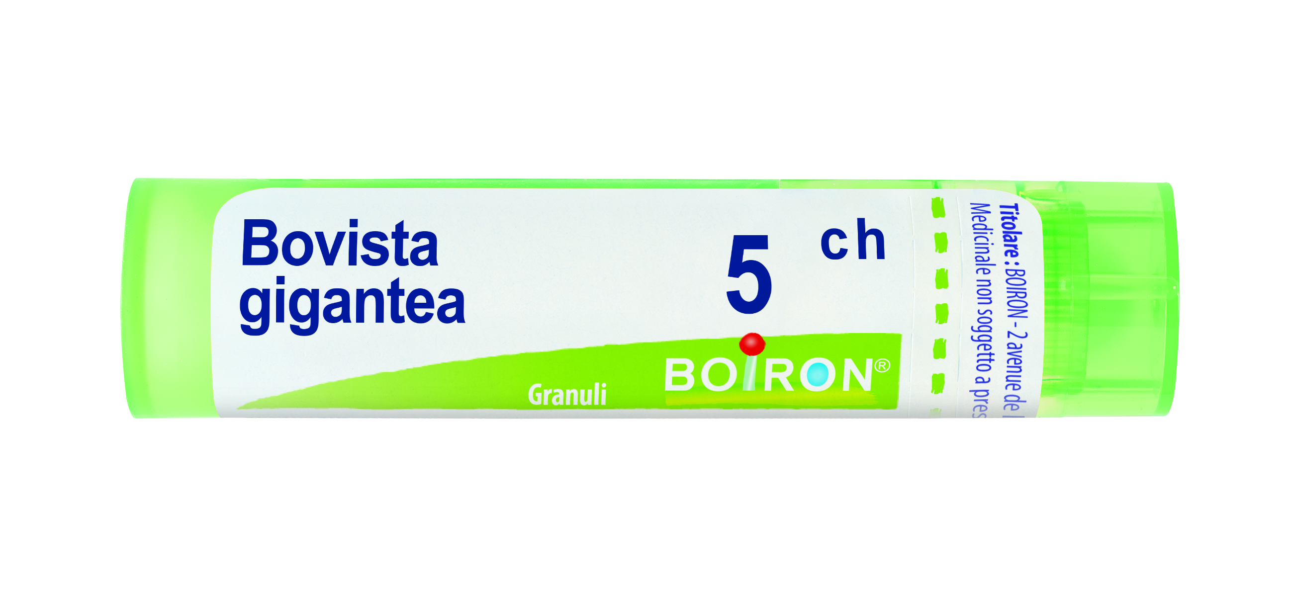 BOVISTA GIGAN BOI*5CH GR 4G - Farmacia Murachelli Di Putelli dr. Giovanni