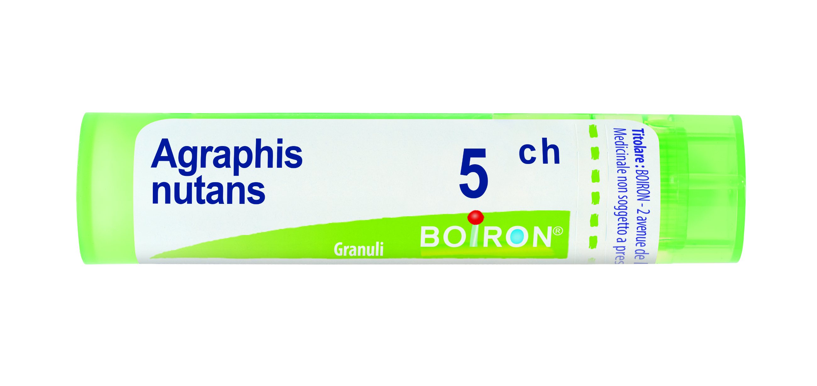 AGRAPHIS NUT BOI*5CH GR 4G - Farmacia Murachelli Di Putelli dr. Giovanni