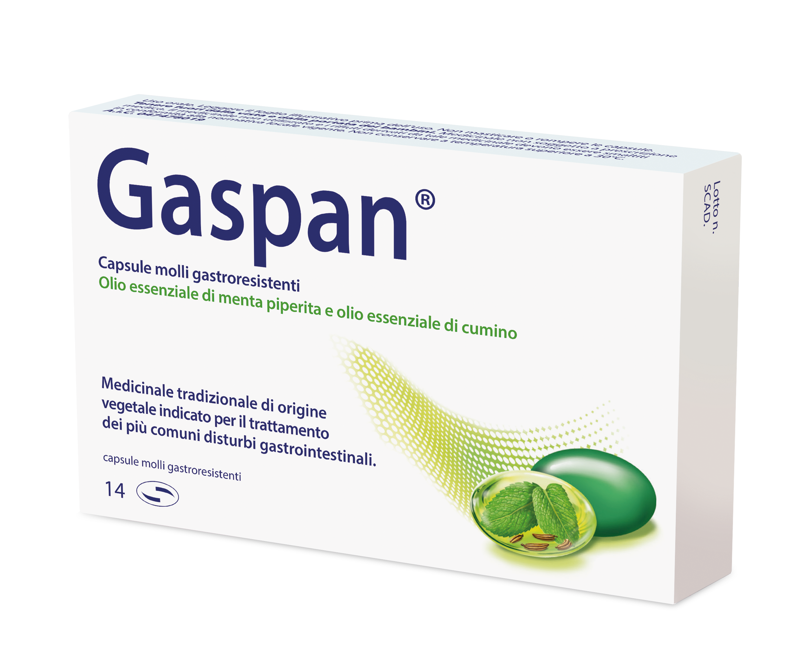 GASPAN*14CPS MOLLI GASTRORES - Farmacia Murachelli Di Putelli dr. Giovanni