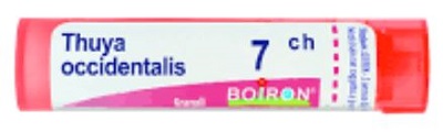 THUYA OCCIDENT 7CH GLOBULI - Farmacia Murachelli Di Putelli dr. Giovanni
