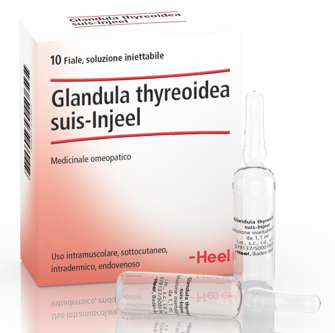 HEEL GLANDULA THYROIDEA SUIS INJEEL 10 FIALE - Farmacia Murachelli Di Putelli dr. Giovanni