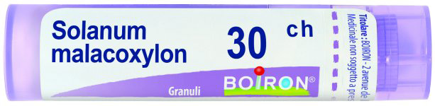 SOLANUM MALACOXYLON 30CH GRANULI 4G - Farmacia Murachelli Di Putelli dr. Giovanni
