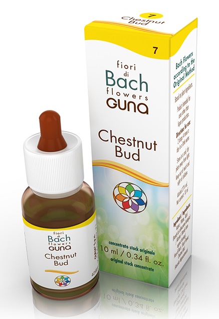 CHESTNUT BUD GOCCE 10 ML - Farmacia Murachelli Di Putelli dr. Giovanni
