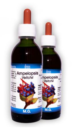 AMPELOPSIS VEITCHII MACERATO GLICERICO 50 ML - Farmacia Murachelli Di Putelli dr. Giovanni