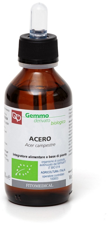ACERO MACERATO GLICERICO 100 ML - Farmacia Murachelli Di Putelli dr. Giovanni