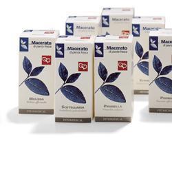 AMAMELIDE TINTURA MADRE 100 ML - Farmacia Murachelli Di Putelli dr. Giovanni