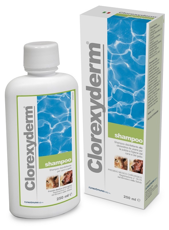 CLOREXYDERM SHAMPOO 250 ML - Farmacia Murachelli Di Putelli dr. Giovanni
