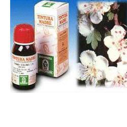 BIANCOSPINO 10 50ML TM - Farmacia Murachelli Di Putelli dr. Giovanni