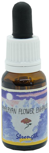 STRENGTH ESSENZA 15 ML 1 PEZZO - Farmacia Murachelli Di Putelli dr. Giovanni