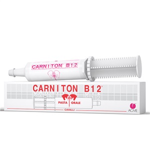 CARNITON B 12 PASTA SIRINGA 100 G - Farmacia Murachelli Di Putelli dr. Giovanni