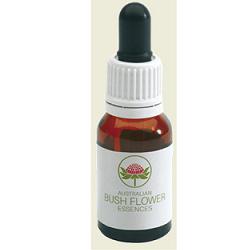 CHRISTHMAS BELL GOCCE 15 ML - Farmacia Murachelli Di Putelli dr. Giovanni