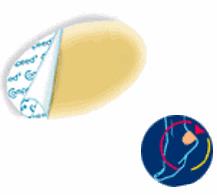 COMPEED VESCICHE CEROTTI FORMATO MEDIO 5 PEZZI - Farmacia Murachelli Di Putelli dr. Giovanni