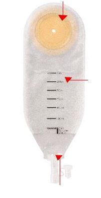 SACCA PER DRENAGGIO DELLE FERITE COLOPLAST CAPACITA' MIDI 300ML 20 PEZZI ARTICOLO 2245 - Farmacia Murachelli Di Putelli dr. Giovanni