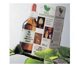 FICO MACERATO GLICERICO 100 ML - Farmacia Murachelli Di Putelli dr. Giovanni