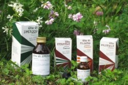 RAEMIL ROSMARINO OLIO 25 ML - Farmacia Murachelli Di Putelli dr. Giovanni