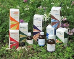 RAEMIL PROPOLI COMPOSTO 15 ML - Farmacia Murachelli Di Putelli dr. Giovanni