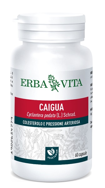 CAIGUA 60 CAPSULE 400 MG - Farmacia Murachelli Di Putelli dr. Giovanni