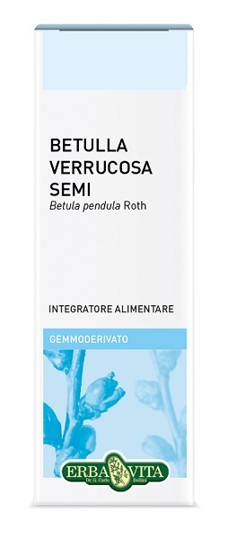 GEMMODERIVATO BETULLA SEMI 50 ML - Farmacia Murachelli Di Putelli dr. Giovanni
