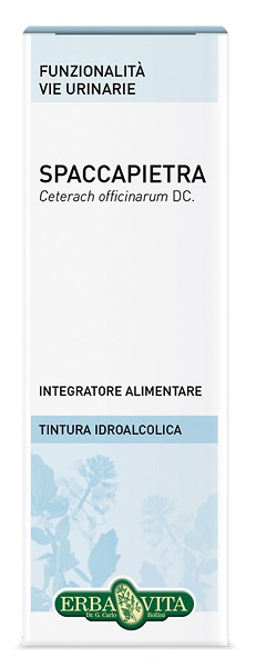 SPACCAPIETRA TINTURA IDROALCOLICA 50 ML EBV - Farmacia Murachelli Di Putelli dr. Giovanni