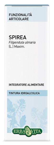 SPIREA ULMARIA TINTURA IDROALCOLICA 50 ML EBV - Farmacia Murachelli Di Putelli dr. Giovanni