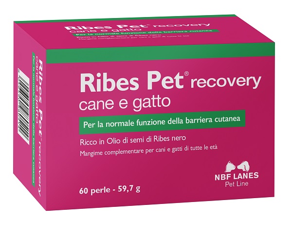 RIBES PET RECOVERY BLISTER 60 PERLE - Farmacia Murachelli Di Putelli dr. Giovanni