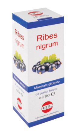 RIBES NIGRUM MACERATO GLICERICO 100 ML GOCCE - Farmacia Murachelli Di Putelli dr. Giovanni