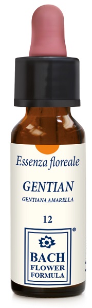 GENTIAN ORIGINAL 10 ML GOCCE - Farmacia Murachelli Di Putelli dr. Giovanni