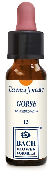 GORSE ORIGINAL GOCCE 10 ML - Farmacia Murachelli Di Putelli dr. Giovanni