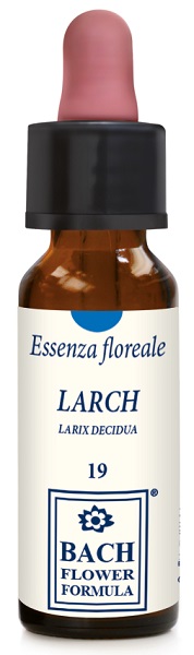 LARCH ORIGINAL GOCCE 10 ML - Farmacia Murachelli Di Putelli dr. Giovanni