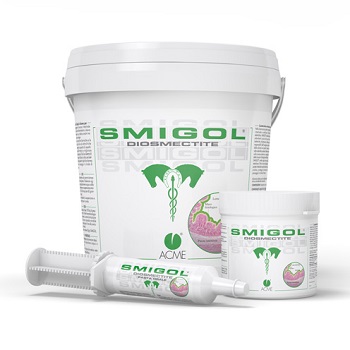 SMIGOL PASTA SIRINGA 100 G - Farmacia Murachelli Di Putelli dr. Giovanni