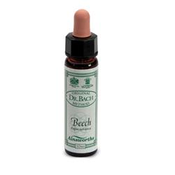 AINSWORTHS BEECH 10ML - Farmacia Murachelli Di Putelli dr. Giovanni