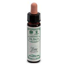 AINSWORTHS PINE 10ML - Farmacia Murachelli Di Putelli dr. Giovanni