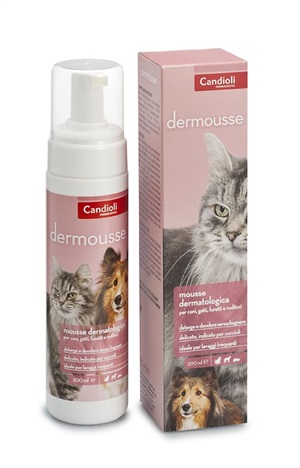 DERMOUSSE MOUSSE FLACONE 200 ML - Farmacia Murachelli Di Putelli dr. Giovanni
