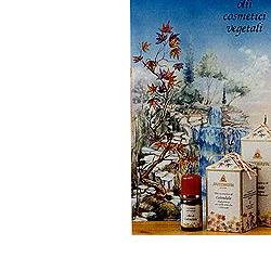 CALENDULA OLIO 100ML - Farmacia Murachelli Di Putelli dr. Giovanni