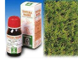 CIPRESSO 11 50ML TM - Farmacia Murachelli Di Putelli dr. Giovanni