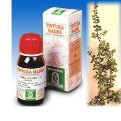 UVA URSINA 30 50ML TM - Farmacia Murachelli Di Putelli dr. Giovanni