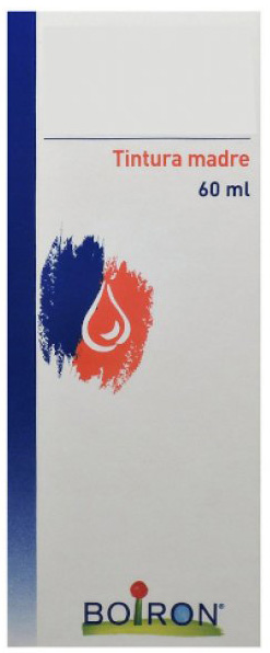 TARAXACUM TINTURA MADRE 60 ML - Farmacia Murachelli Di Putelli dr. Giovanni