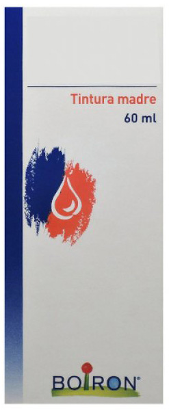 THUYA OCCIDENTALIS TINTURA MADRE 60 ML - Farmacia Murachelli Di Putelli dr. Giovanni