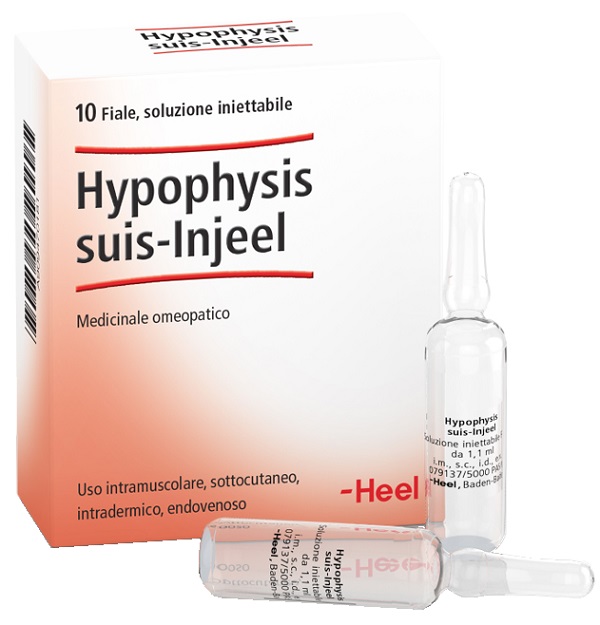 HEEL HYPOPHYSIS SUIS INJEEL 10 FIALE - Farmacia Murachelli Di Putelli dr. Giovanni