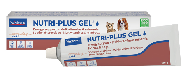 NUTRIPLUS GEL PASTA ORALE 120 G - Farmacia Murachelli Di Putelli dr. Giovanni