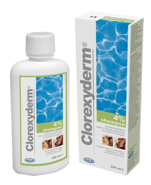 CLOREXYDERM SHAMPOO 4% 250 ML - Farmacia Murachelli Di Putelli dr. Giovanni