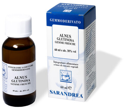 ALNUS GLUTINOSA 100 ML MACERATO GLICERICO - Farmacia Murachelli Di Putelli dr. Giovanni