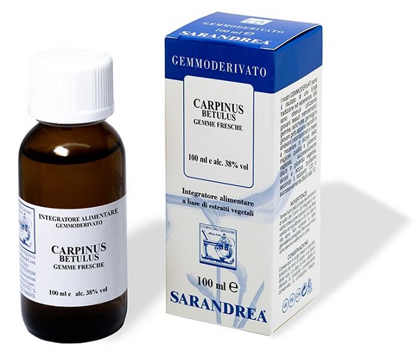 CARPINUS BETULUS 100 ML MACERATO GLICERICO - Farmacia Murachelli Di Putelli dr. Giovanni