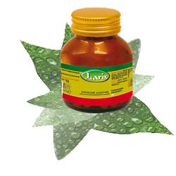 OLIO DI ENOTHERA BORRAGINE 50 PERLE - Farmacia Murachelli Di Putelli dr. Giovanni