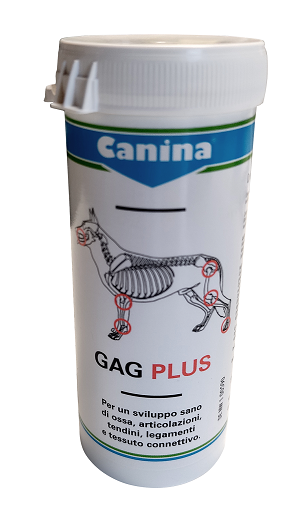 GAG PLUS 200 G 120 TAVOLETTE - Farmacia Murachelli Di Putelli dr. Giovanni