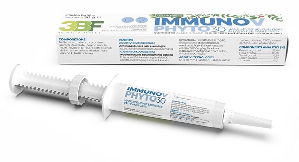 IMMUNOV PASTA SIRINGA 30 G - Farmacia Murachelli Di Putelli dr. Giovanni