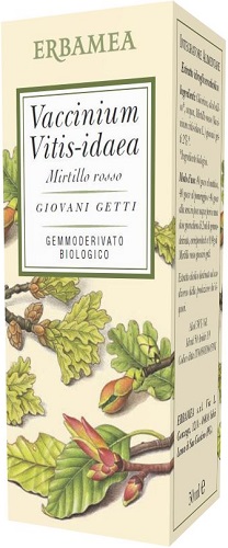 VACCINIUM VITIS IDAEA MIRTILLO ROSSO BIO 50 ML - Farmacia Murachelli Di Putelli dr. Giovanni