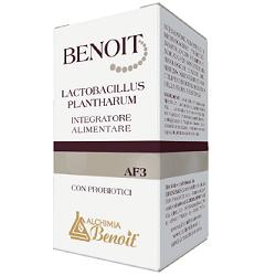 BENOIT LACTOBACILLUS PLANTHARUM 30 CAPSULE - Farmacia Murachelli Di Putelli dr. Giovanni