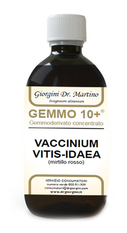 GEMMO 10+ MIRTILLO ROSSO LIQUIDO ANALCOLICO 500 ML - Farmacia Murachelli Di Putelli dr. Giovanni