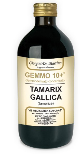 GEMMO 10+ GEMMODERIVATO CONCENTRATO LIQUIDO ANALCOLICO TAMARIX GALLICA TAMERICE 500 ML - Farmacia Murachelli Di Putelli dr. Giovanni